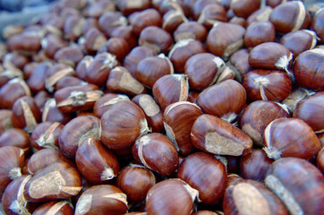 Chestnuts at the market in Athens.
