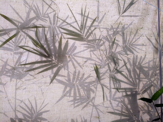 Beautiful pattern of tropical leaves on a tent translucent in the sun.
