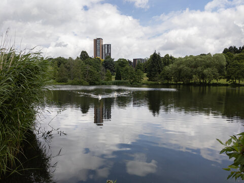 A lake near the Vale village near Edgbaston, Birmingham, England