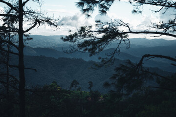 Mountains and green trees during the day