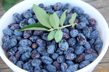 Honeysuckle berries in a vase on the table, honeysuckle, healthy berry, proper nutrition, jam,...