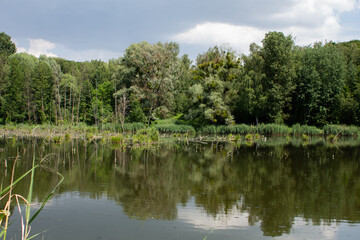 Obraz na płótnie Canvas big lake in the green forest