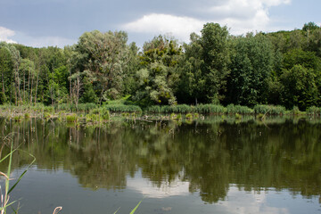 Fototapeta na wymiar big lake in the green forest
