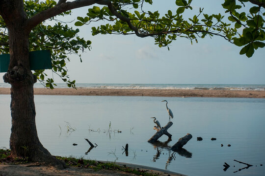 The holy river of the Kogui tribe "R&iacute;o Ancho", Dibulla, La Guajira - Colombia