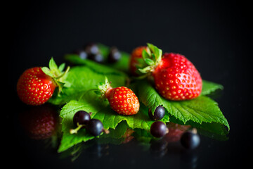 ripe red strawberries and berries of black currant