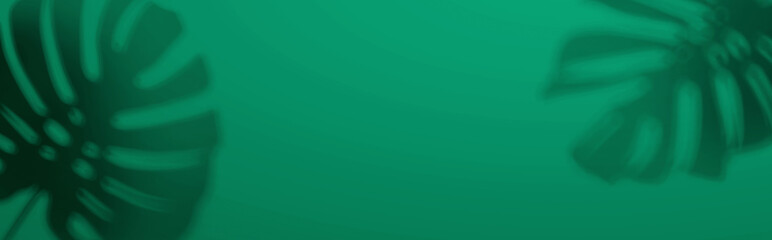 Shadow background of tropical monstera leaves - flat lay