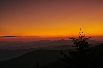 Foggy sunset through forest in Great Smoky Mountains
