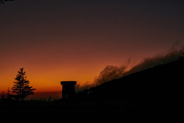 Foggy sunset through forest in Great Smoky Mountains
