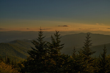 Foggy sunset through forest in Great Smoky Mountains
