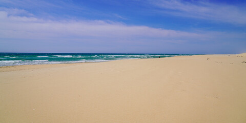 Fototapeta na wymiar sandy natural empty beach with dunes of Le Porge near Lacanau in France