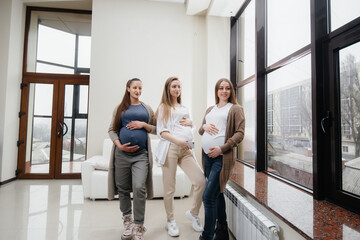 A group of young pregnant girls communicate in the prenatal class. Care and consultation of pregnant women