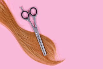Concept for cutting hair with blond strand of hair and thinning shears, a pair of hair scissors with blades with teeth on the edge like a comb, on pink background