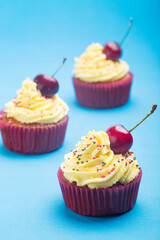 Cupcakes with whipped cream decorated with a cherry made without lactose