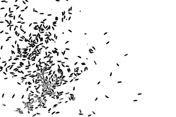 Raw white rice explosion. Thrown rice seeds on white background. Silhouette of flakes, spread on the flat surface or table. Top view. Vector.