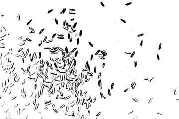 Raw white rice explosion. Thrown rice seeds on white background. Silhouette of flakes, spread on the flat surface or table. Top view. Vector.