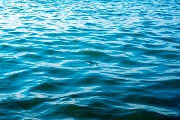 Fototapeta premium Blue sea water background texture