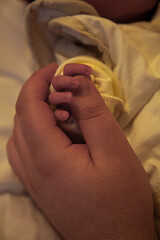 First fathers day: a father is holding the tiny hand of a newborn in his hand