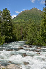 Alaska's Little Susitna river is an important salmon spawning stream.