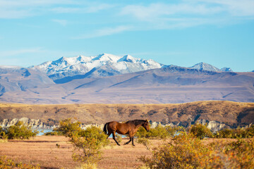 New Zealand mountains