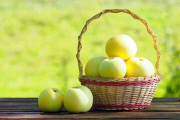 Ripe green apples in a wicker basket on a wooden table. Harvest of apples white pouring, sunlight