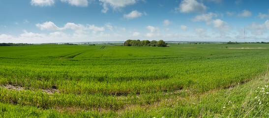 Panorama na jezioro Kopań © Marcin