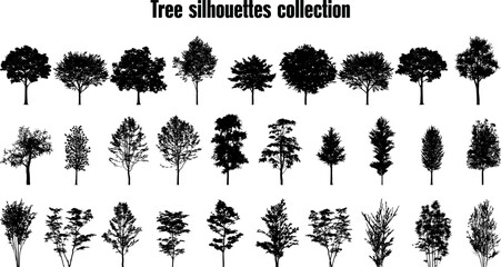 Trees silhouette collection. Set of 29 trees. Vector