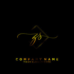 ZS Initial handwriting logo vector	
