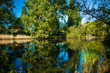 Breda from Netherlands