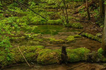 Fototapeta na wymiar Cisarska gorge with clean creek and waterfall near Berounka river