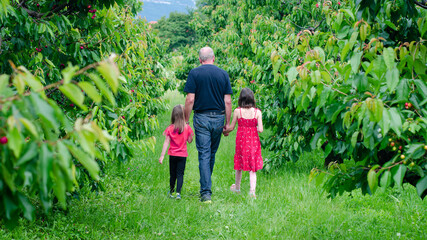 Grandfather walking through cherry orchard with his granddaughters