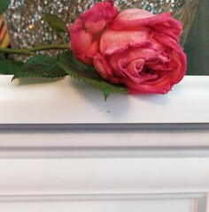 A faded red rose on a white nightstand