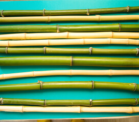 flower arrangement. bamboo stems on a blue background. Flatley, a concept of summer and heat