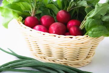Ripe radish in a basket. Radish with leaves. Chives.