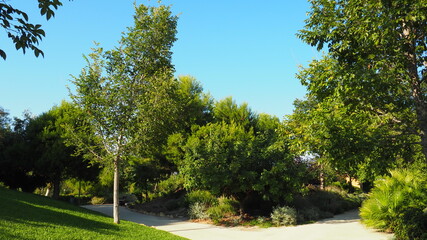 Plantas y flores en el Parque del Mar de Alicante