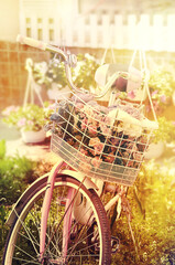 bicycle with flowers on the background of spring. Vintage colorful style. Decorative design.