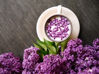 Obraz na płótnie Canvas Lilac flowers in the milk and on the table.