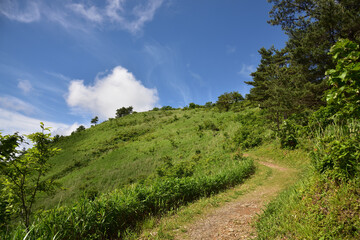 Obraz premium 日本の岡山県の美しい山の景色