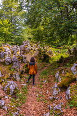 Mount Aizkorri 1523 meters, the highest in Guipuzcoa. Basque Country. Ascent through San Adrian and return through the Oltza fields. A young woman entering the beautiful forest of Mount Aizkorri