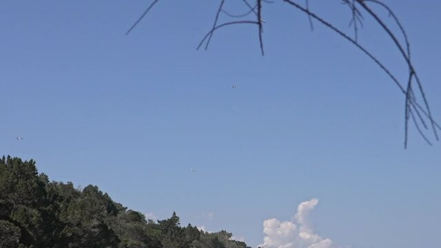 Wide shot of seagulls, flying over a cape at beach of Sesi, Attica , Greece