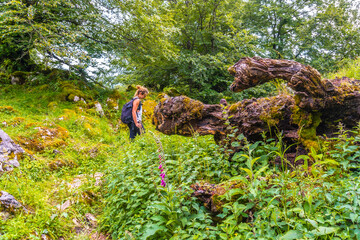 Mount Aizkorri 1523 meters, the highest in Guipuzcoa. Basque Country. Ascent through San Adrian and return through the Oltza fields. Young man walked among the flora on Mount Aizkorri
