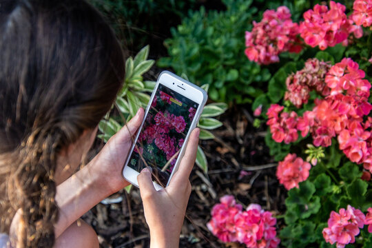 Young girl taking pictures of plants on her phone