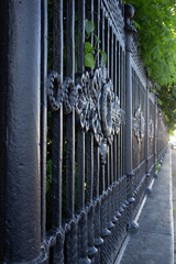 Fragment of old wrought iron fence isolated.