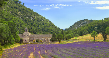 France, Provence, the famous Senanque Abbey immersed in its lavender fields
