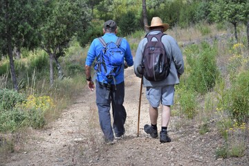 paseo por el campo