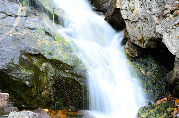 majestic small fresh water stream on mountain in summer