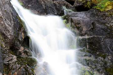 Naklejka na ściany i meble majestic small fresh water stream on mountain in summer