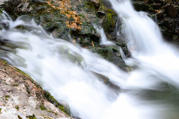 small beautiful fresh water mountainn creek waterfall in summer