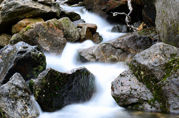 Naklejka na ściany i meble beautiful serene fresh water mountain stream in summer nature