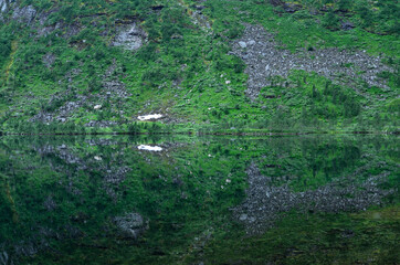 reflective mountain lake in summer