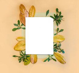 Summer and autumn composition. Green and yellow leaves on pastel orange background. Flat lay,